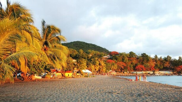 Una playa con palmeras, una orilla arenosa y una vista de una colina con edificios al fondo.