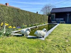 Terrain de l’hébergement 