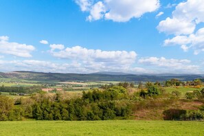 A rural landscape with rolling hills, green fields, and scattered trees.