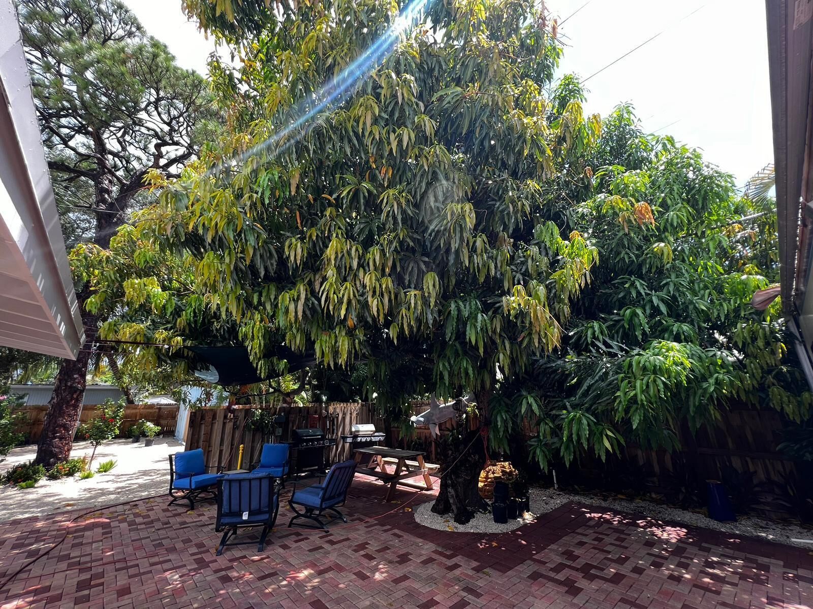 Terraço/pátio