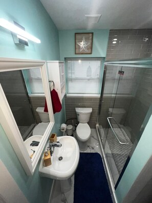 Hair dryer, towels, soap, toilet paper