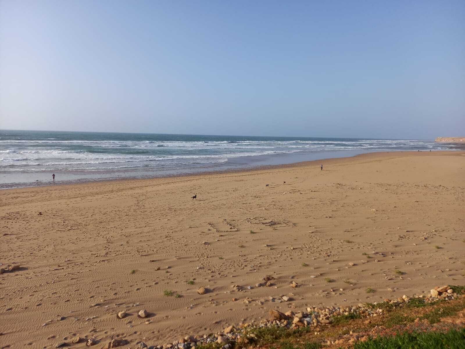 在海灘附近、躺椅、沙灘巾