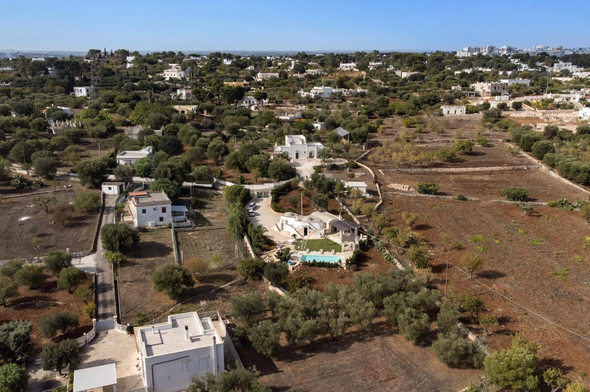 An aerial view of a residential area with houses, olive groves, and a clear sky.