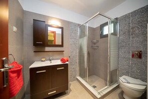 A modern bathroom with a glass shower enclosure, a vanity with a mirror, and a toilet.
