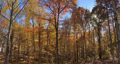 Brand New Studio with a Bluff View