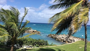 A tropical beach scene with palm trees, a rocky shoreline, and a clear blue ocean. - Sea Palms Holidays (Tower Isle)