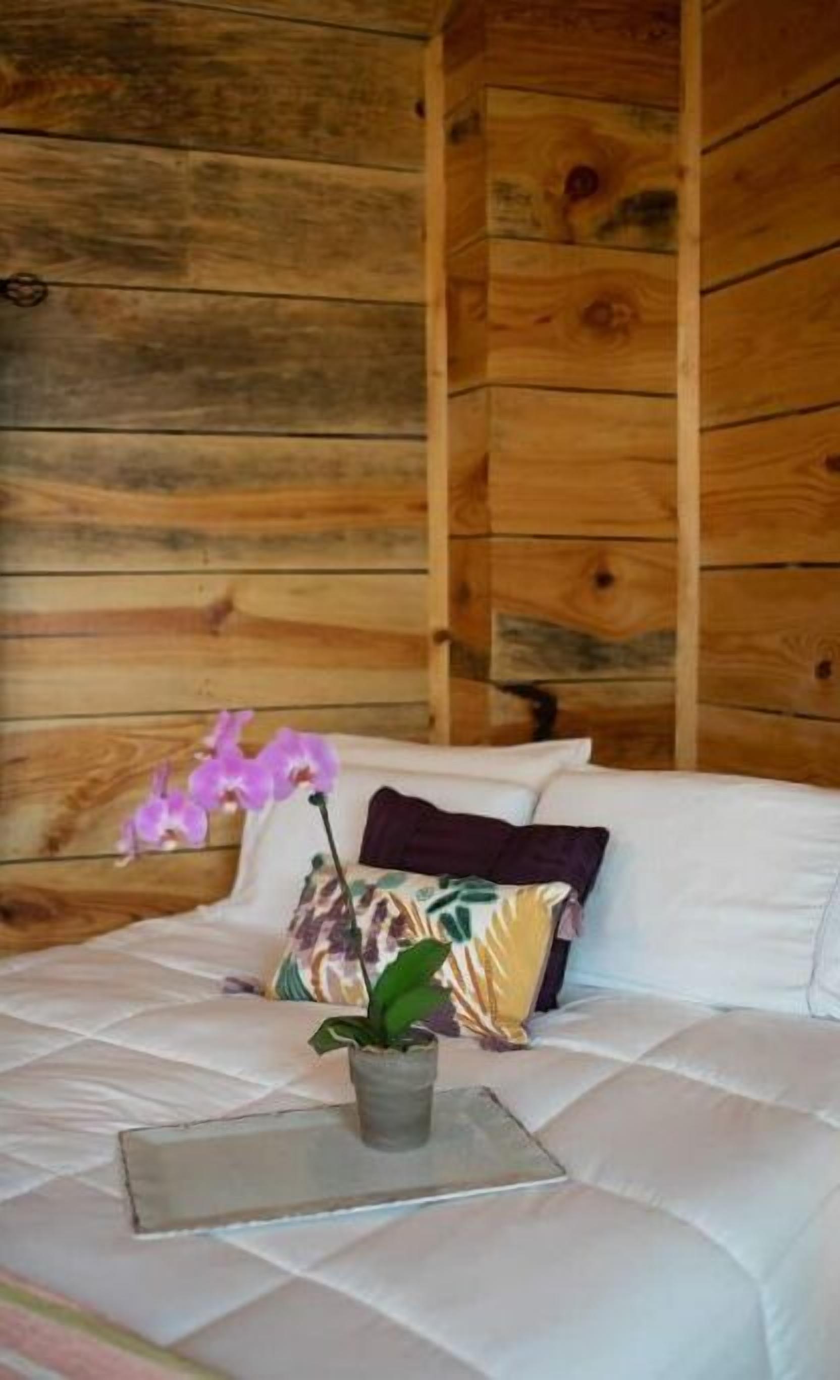 A wooden cabin room with a bed, pillows, and a potted plant.