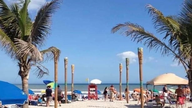 A beach with palm trees, umbrellas, and people.