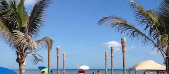 Stay Where Dolphins Play,Water Front
