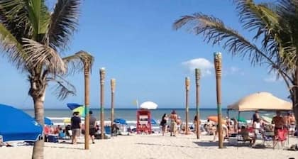 Stay Where Dolphins Play,Water Front