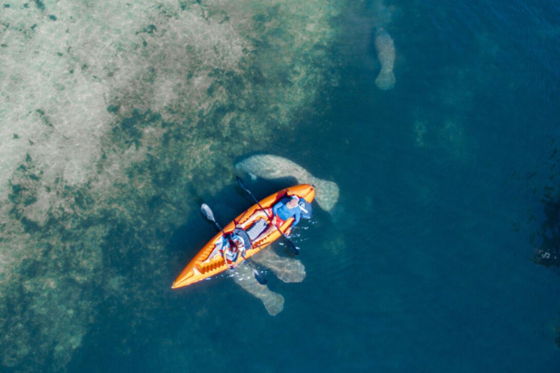 An aerial view of a kayak on a clear blue body of water with a rocky shoreline.