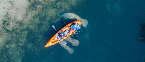 An aerial view of a kayak on a clear blue body of water with a rocky shoreline.