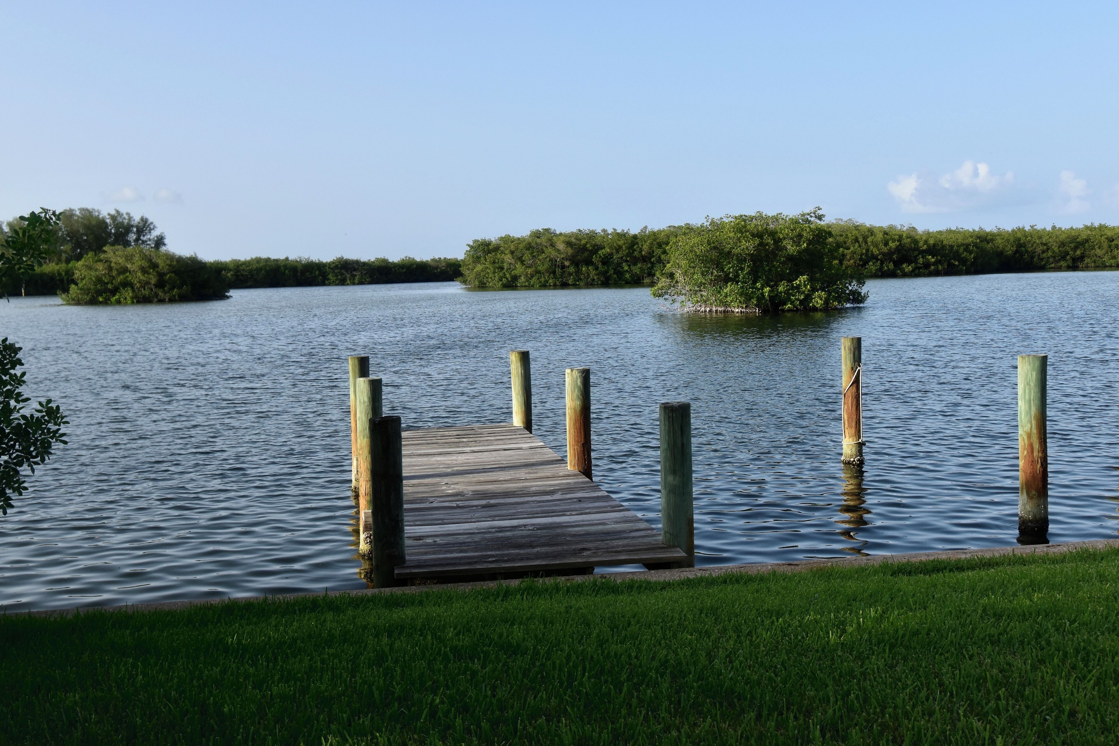 A wooden dock extending into calm water with grassy banks and dense foliage in the background.
