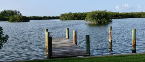 A wooden dock extending into calm water with grassy banks and dense foliage in the background.