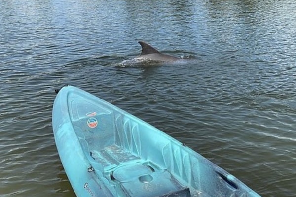 Terrain de lâhĂ©bergement