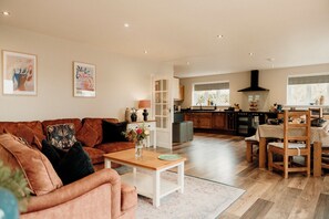 Smart TV, fireplace, DVD player, books