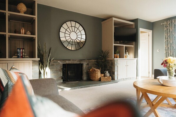 Smart TV, chimenea, reproductor de DVD y libros 