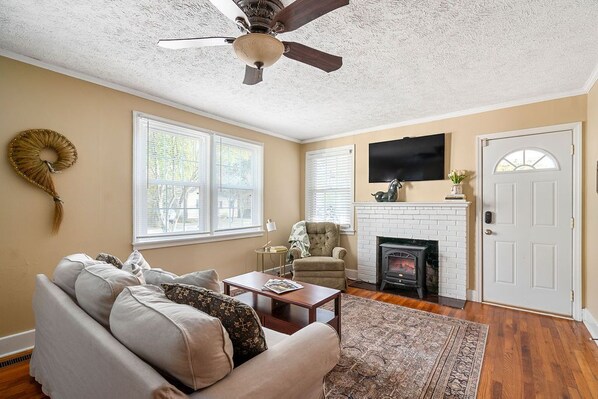 Smart TV, fireplace, DVD player, books