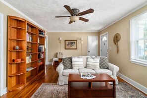 TV connectée, cheminée, lecteur de DVD, livres