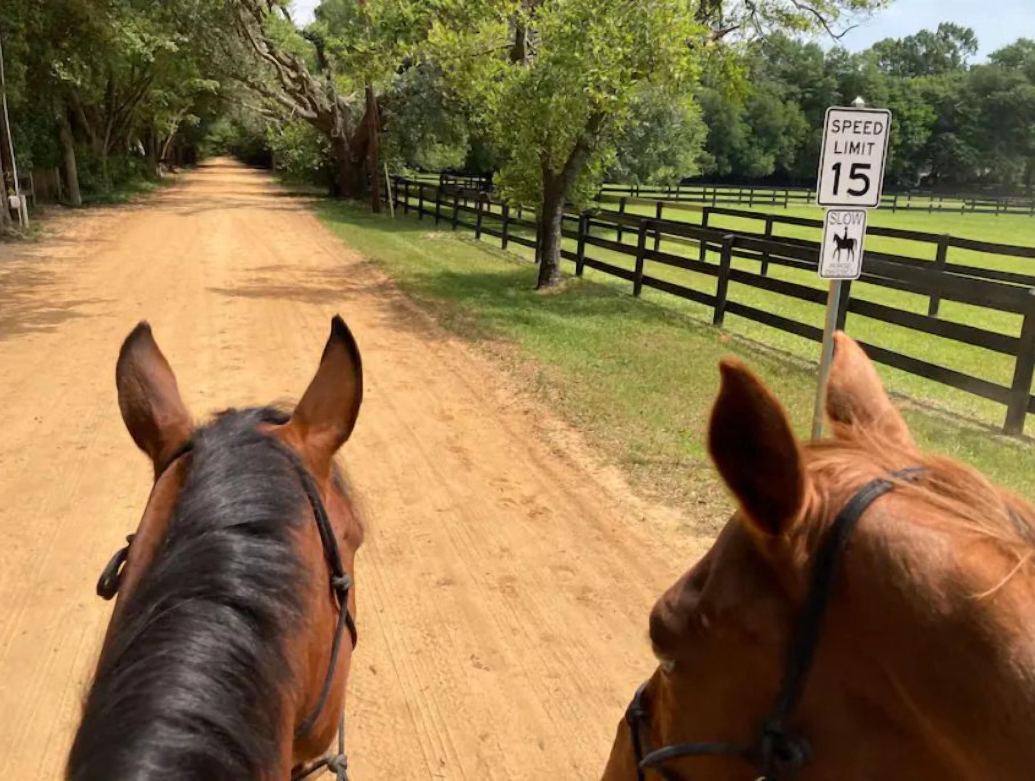 Un camino de tierra con un cartel de límite de velocidad y una señal que indica paso de caballos.
