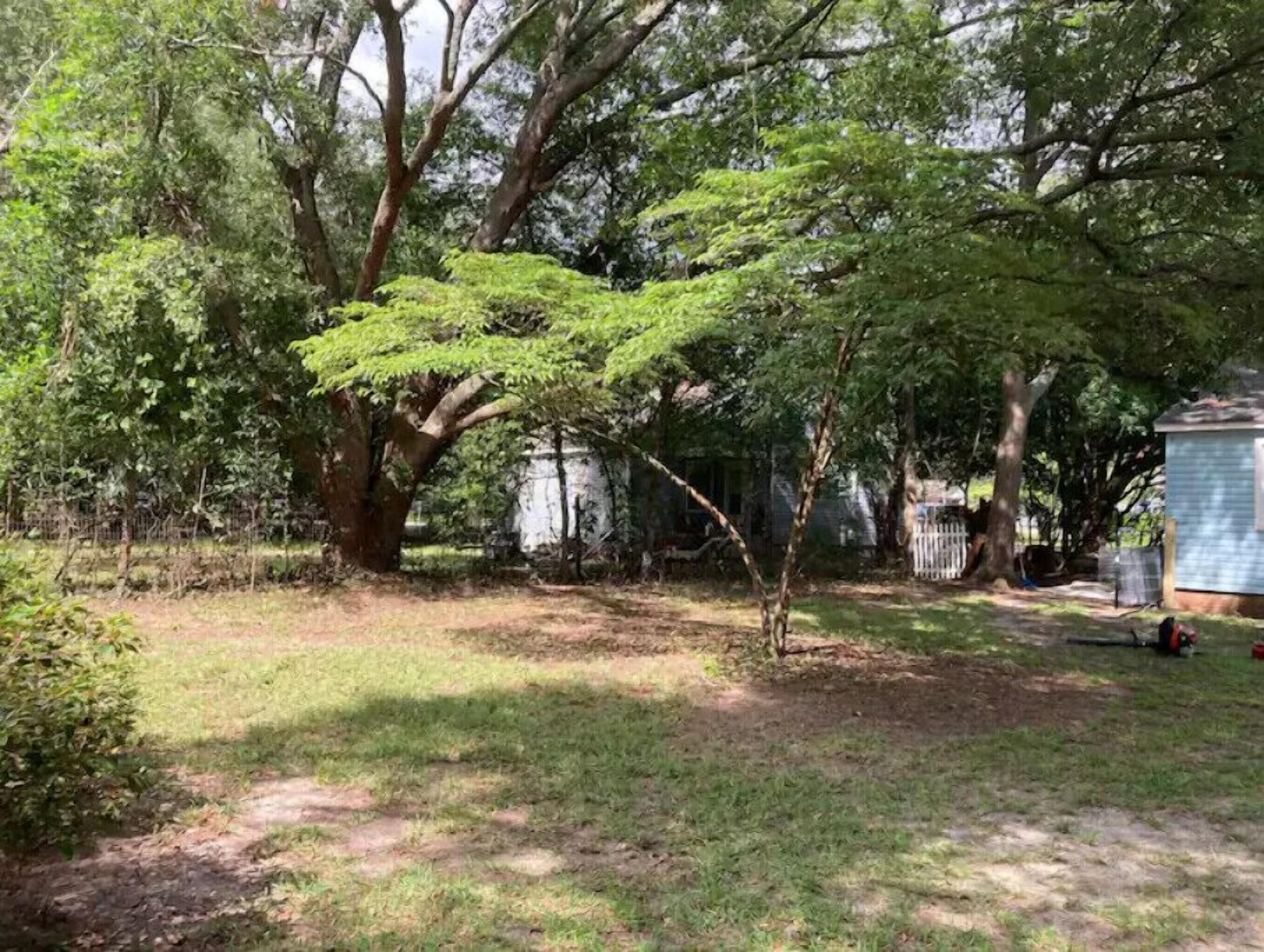 A backyard with a large tree, a shed, and a lawn.