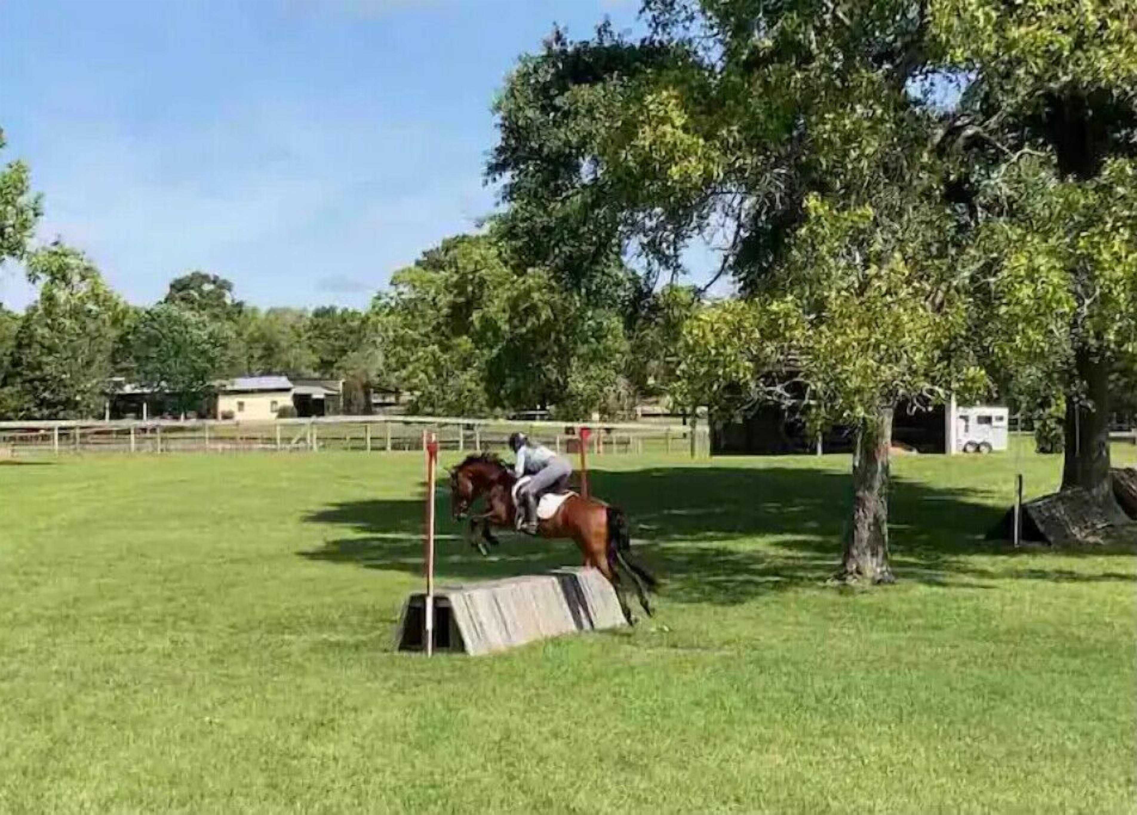 Un jinete y su caballo saltando un obstáculo en un picadero al aire libre.