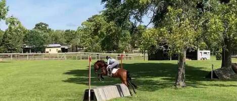 Un jinete y su caballo saltando un obstáculo en un picadero al aire libre.