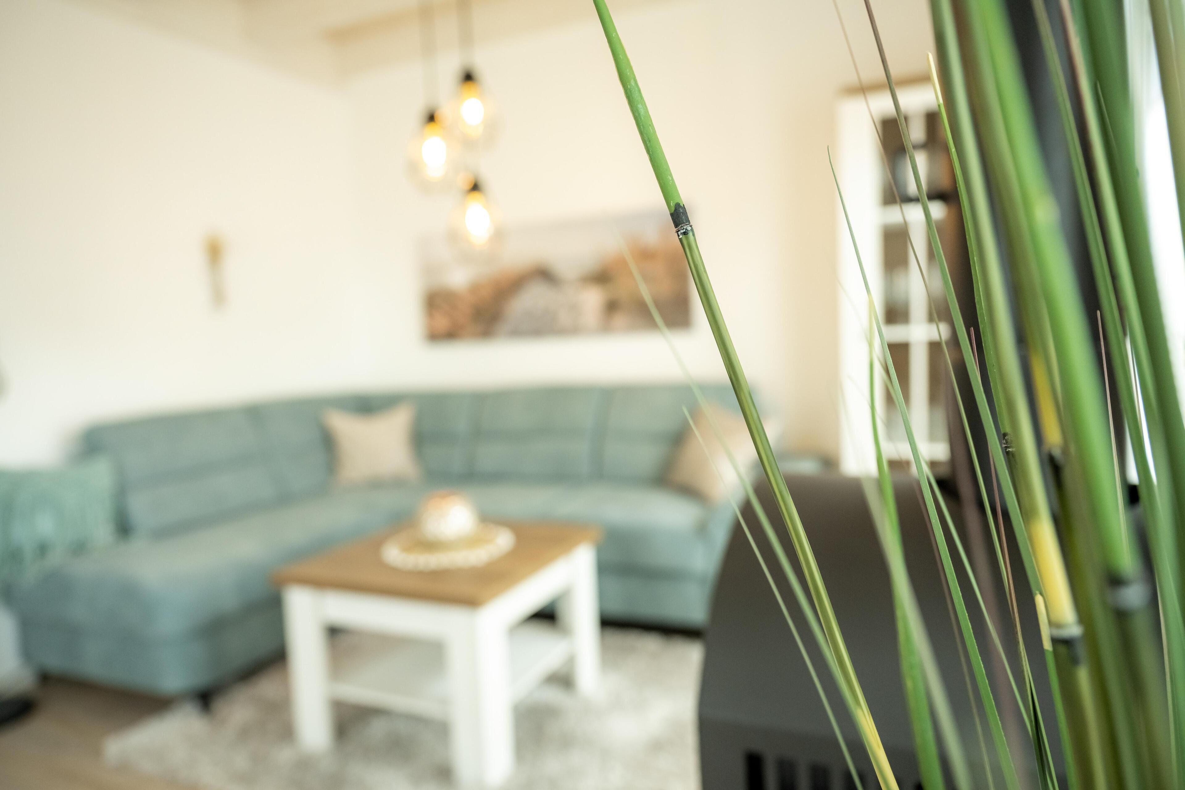 Ein Wohnzimmer mit einem hellblauen Sofa, einem weißen Couchtisch und einer Pflanze im Vordergrund.