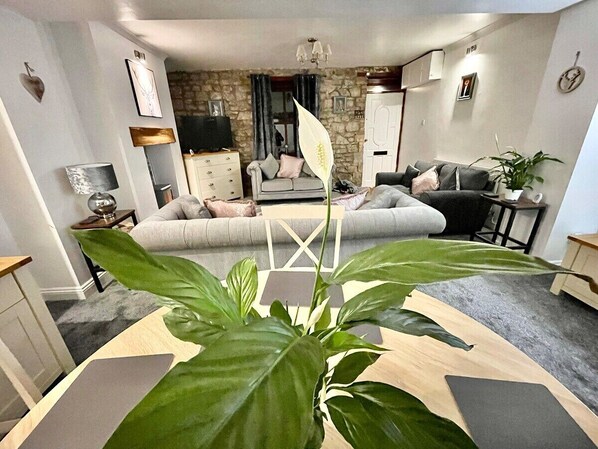TV, fireplace