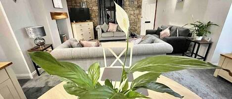 Televisor i llar de foc