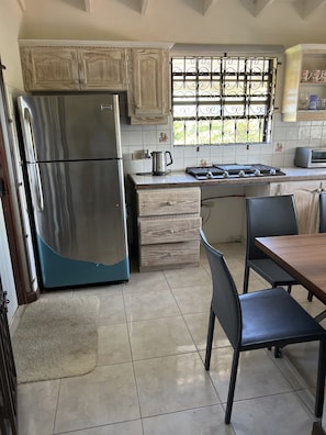 Fridge, microwave, stovetop, electric kettle
