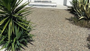 A modern building with a large window, a concrete pathway, and two large plants. - U SECONDU - Quiet, spacious new apartment (ALERIA)