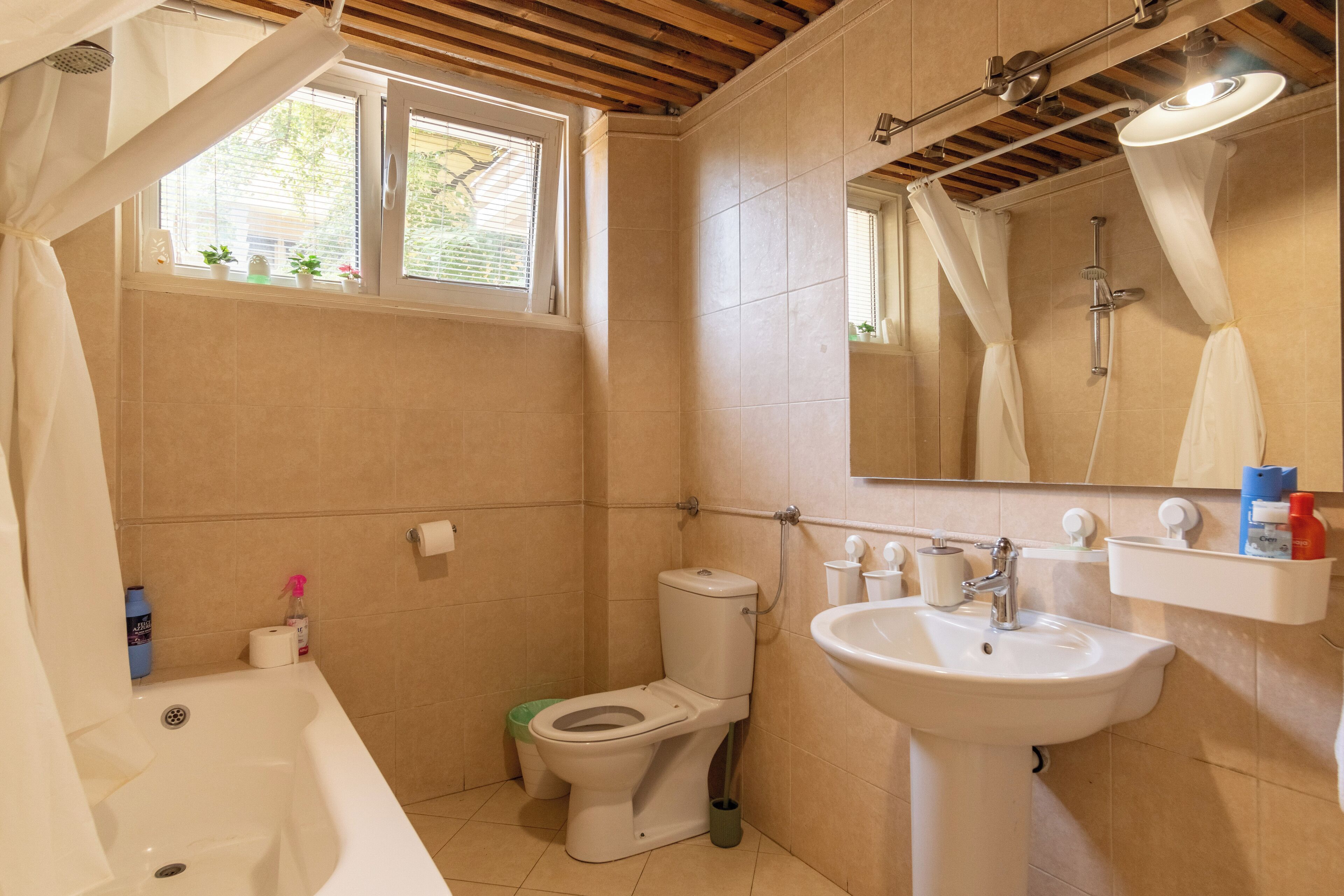 Photo - Cabbage Hostel