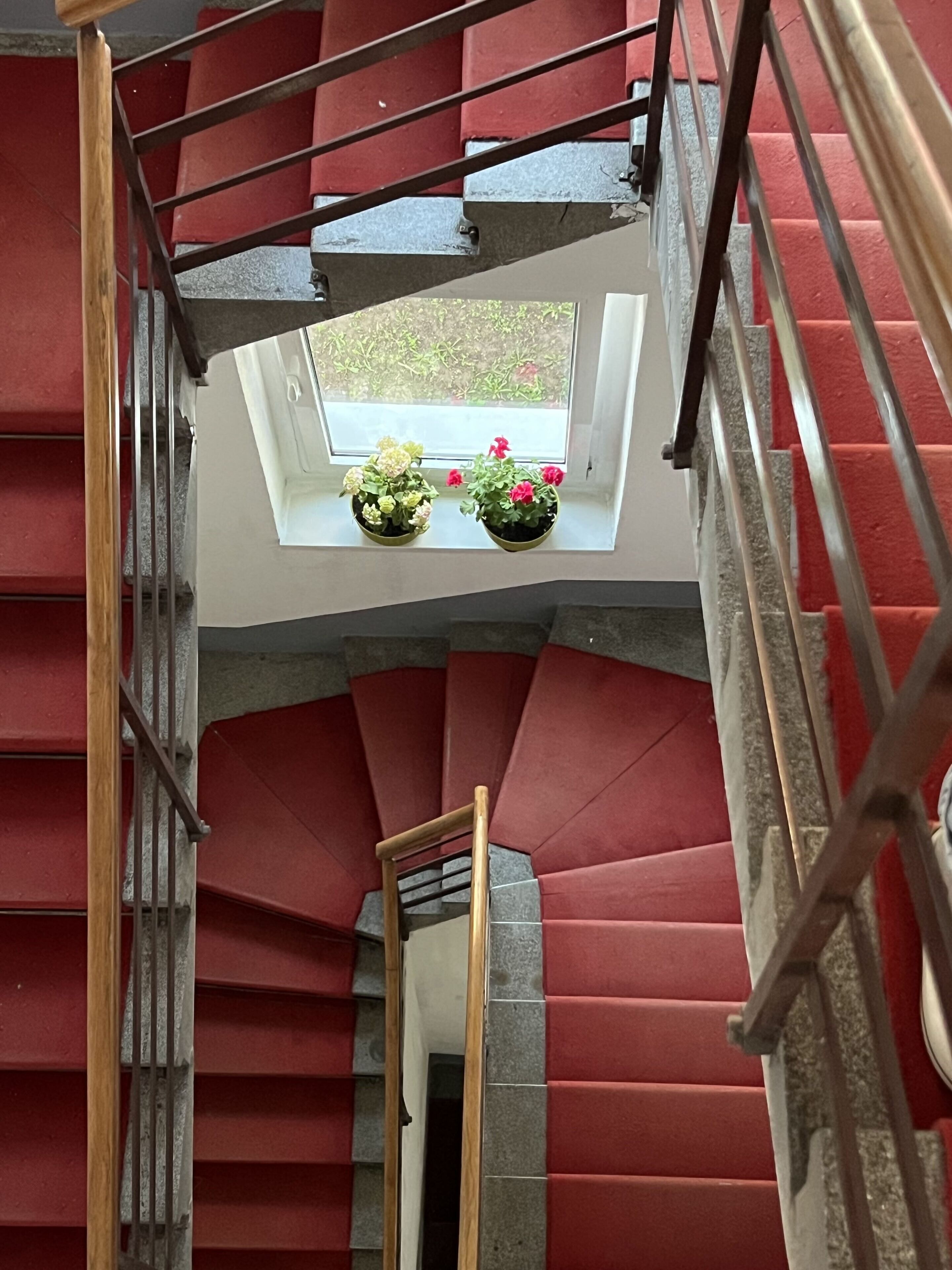 Photo - Cabbage Hostel