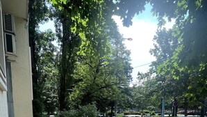 A residential area with a well-maintained garden, a paved driveway, and parked cars. - Cabbage Hostel (Belgrade)