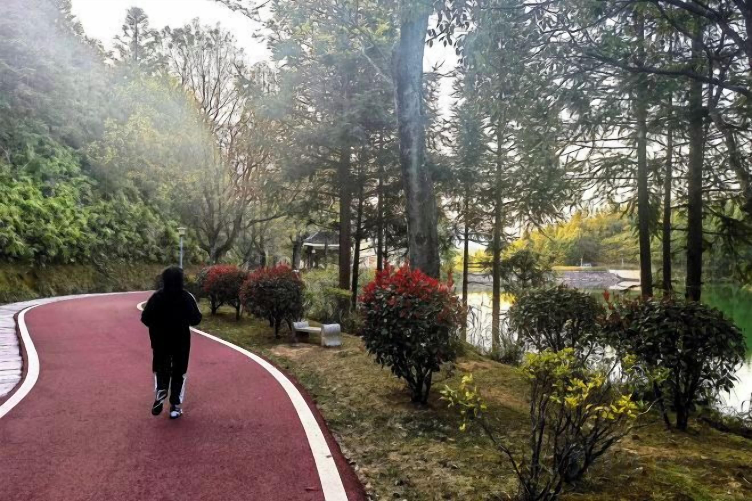 A curved pathway in a park with a person walking.