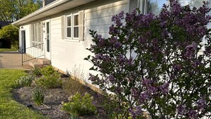 A single-story house with a front porch, a small garden with various plants, and a tree with purple flowers. - Cozy, Roomy Ranch near IU Stadiums (Bloomington)
