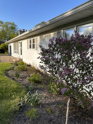Ein eingeschossiges Haus mit einer Veranda, einem kleinen Garten mit verschiedenen Pflanzen und einem Baum mit violetten Blüten.