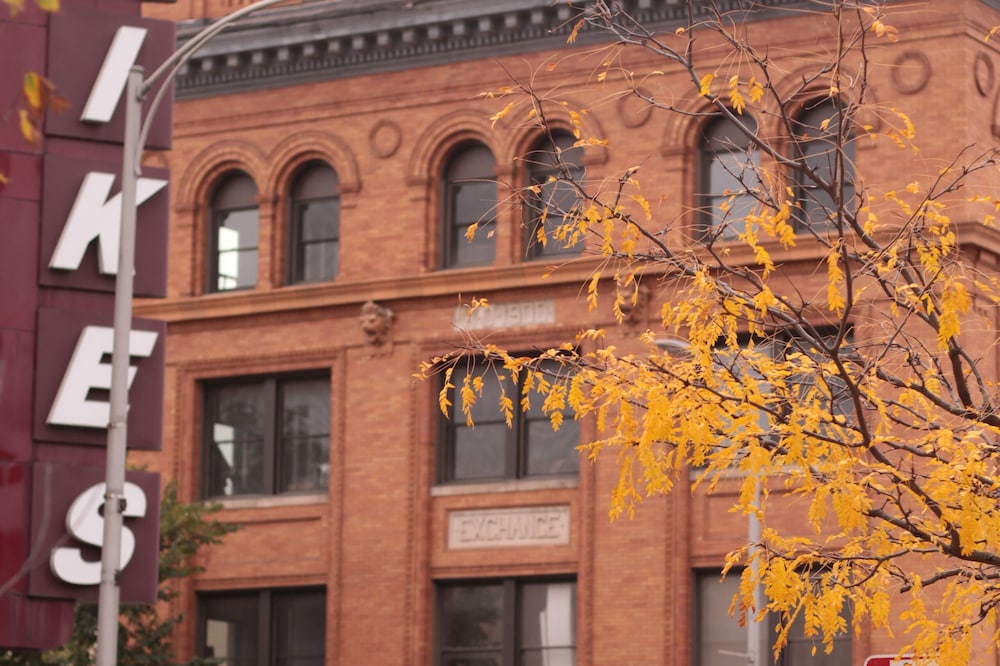 The Exchange 22 | Historic Bldg, 1 BR ADA, Dwntwn