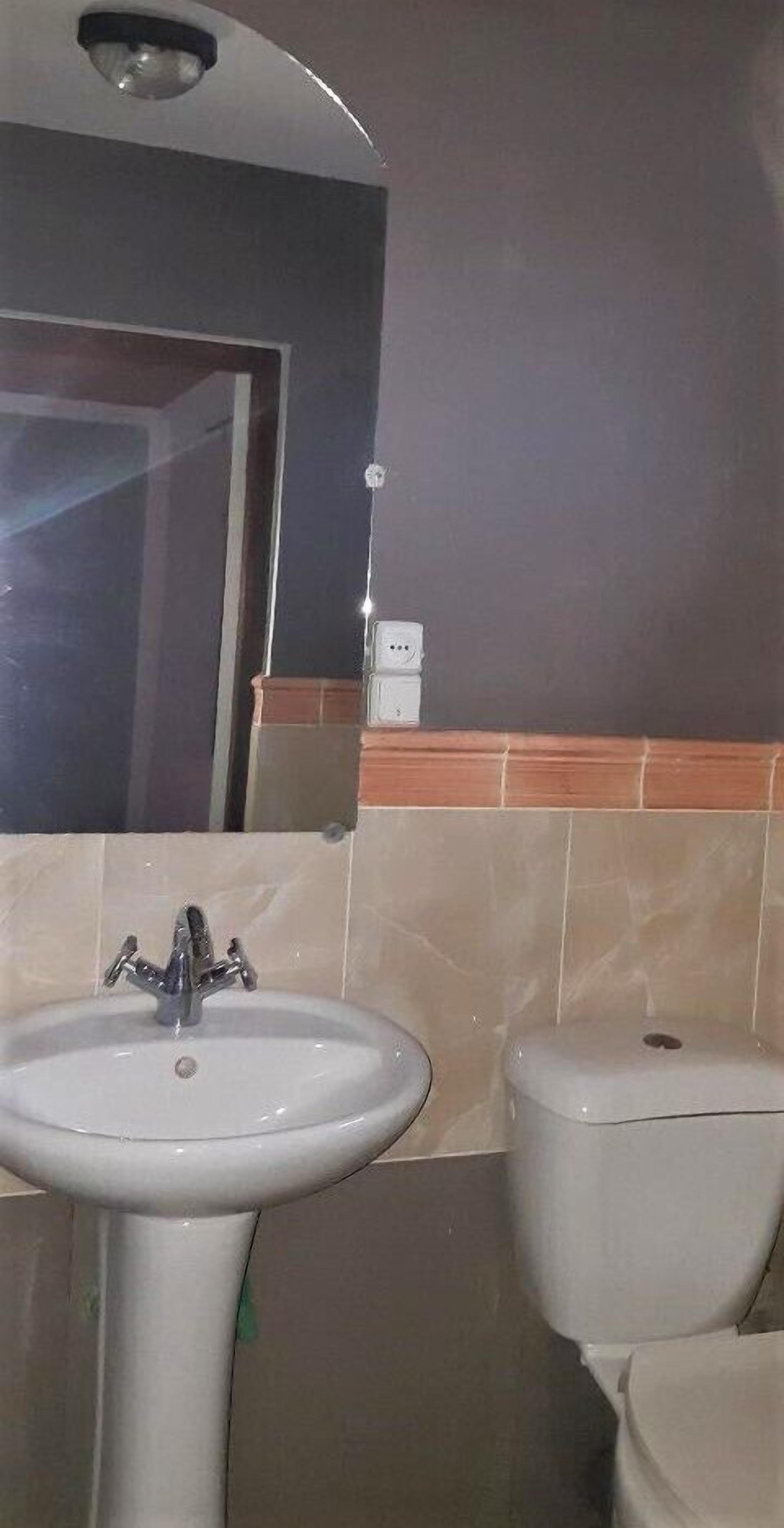 A bathroom with a sink, toilet, and a mirror.