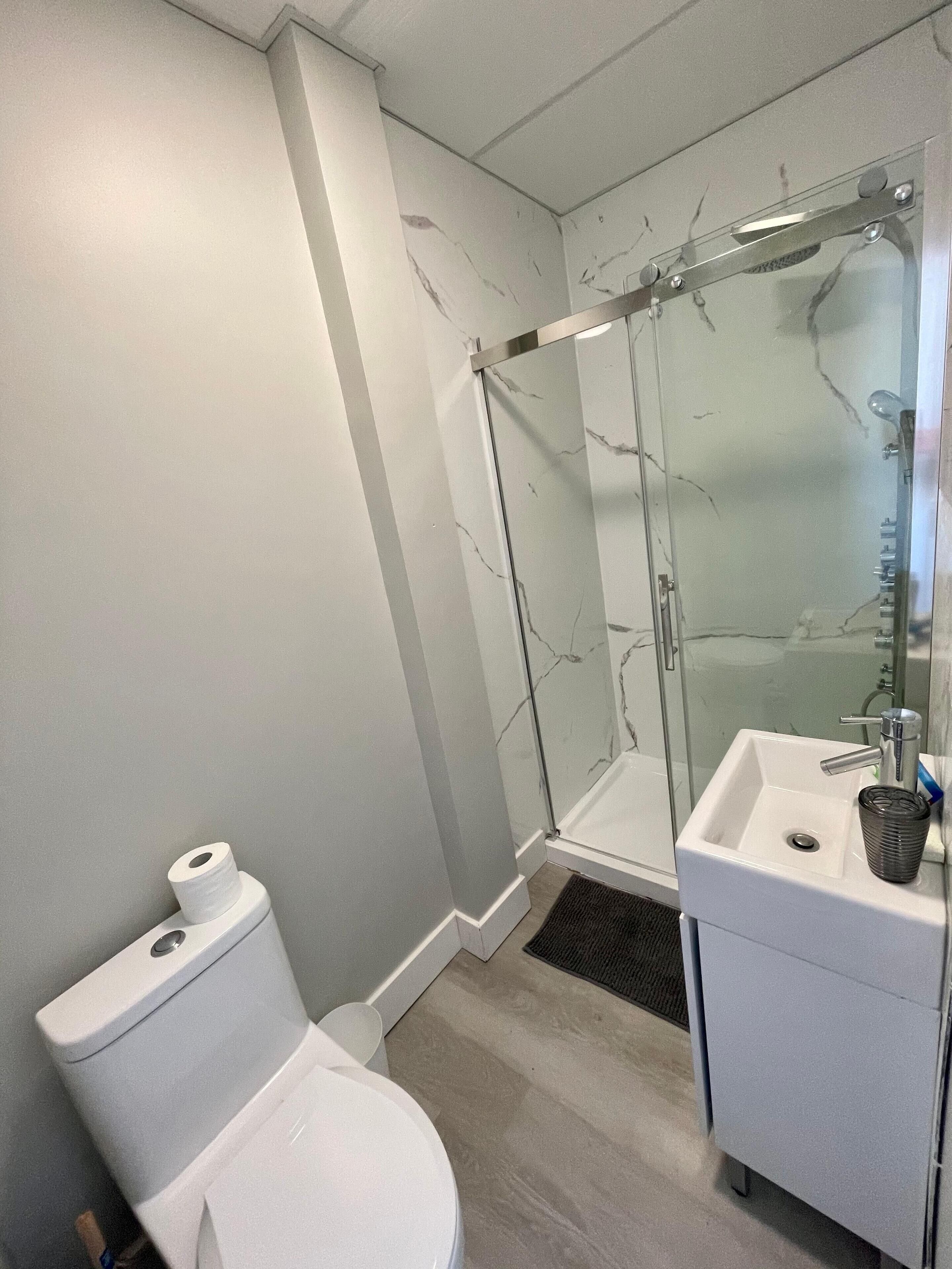 A modern bathroom with a toilet, a glass shower enclosure, and a sink.
