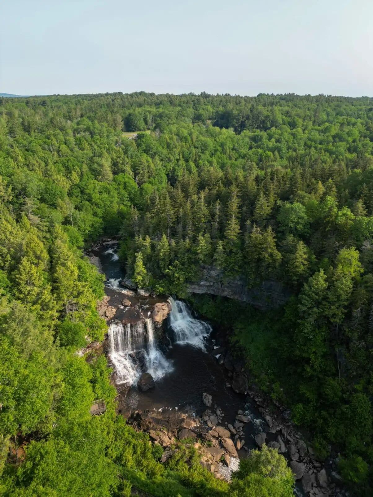 A waterfall surrounded by dense forest.