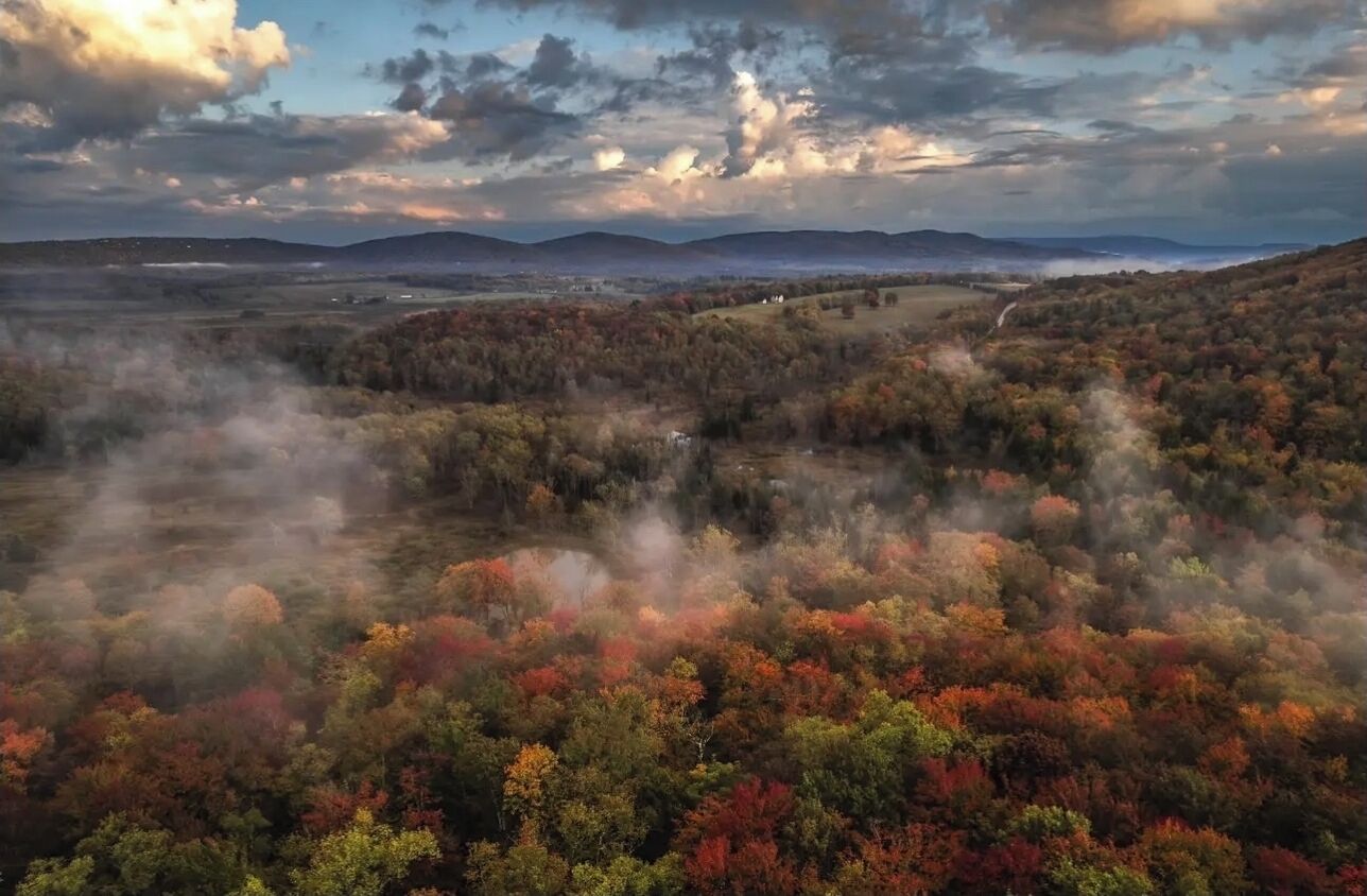 A panoramic view of a forested landscape with a road winding through it.