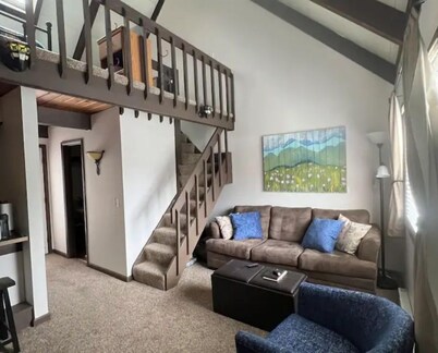 Cozy Sunlit Mountain Loft near Blackwater Falls and Canaan Valley in Davis, WV