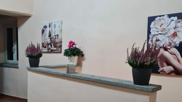 A reception desk with potted plants and artwork on the wall. - Pretty apartment in the center of Vasanello (VT), close to all services (Vasanello)