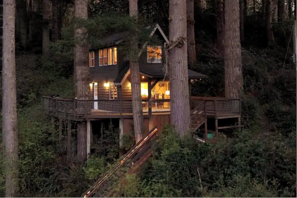 Quiet and Serene Cabin in the Tree's