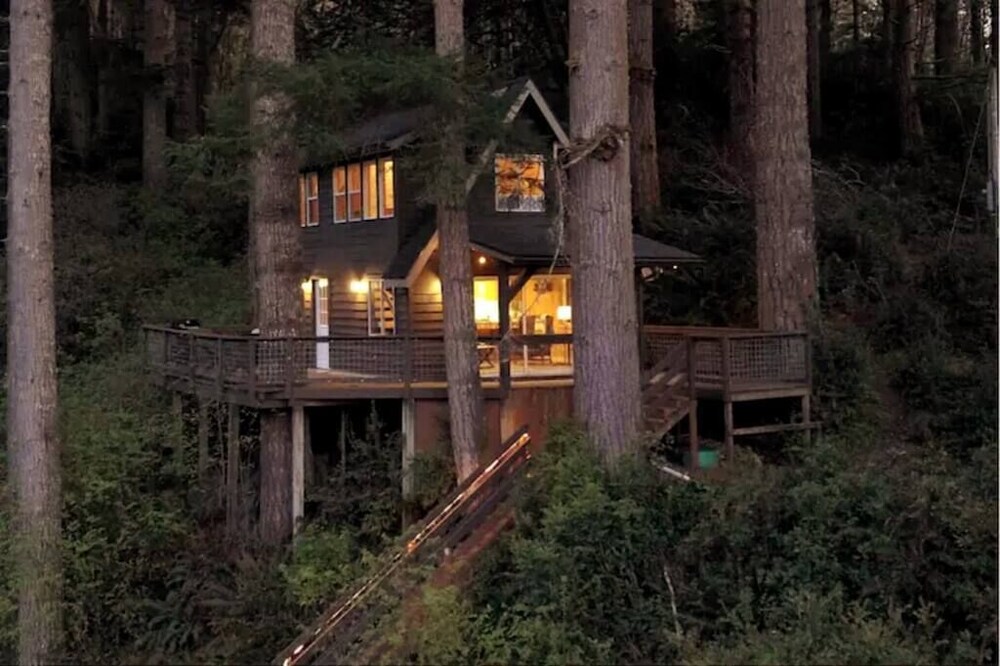 Quiet and Serene Cabin in the Tree's