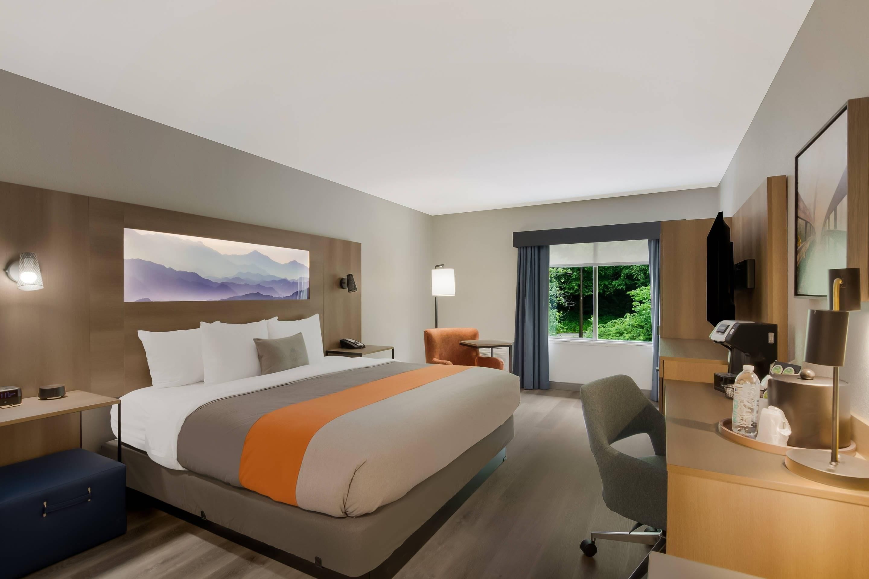 1 King Bed, Non Smoking | Desk, laptop workspace, free cribs/infant beds, free WiFi