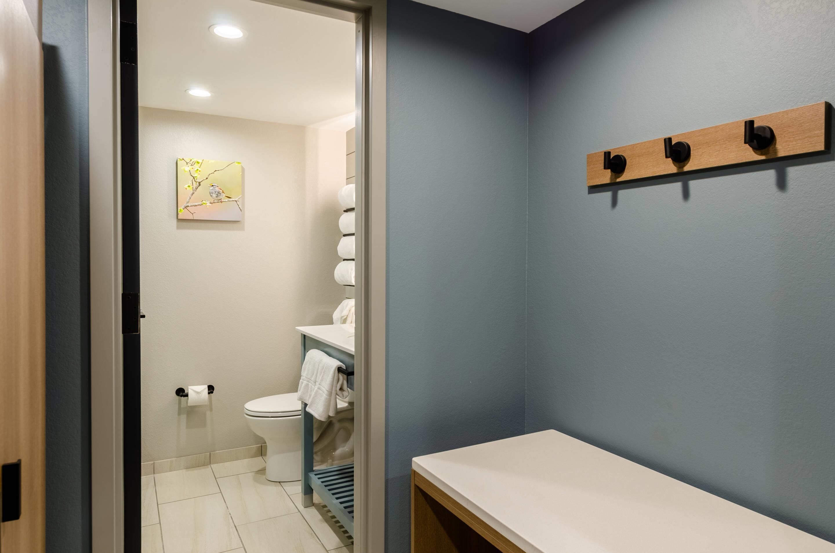 A bathroom with a toilet, sink, and a towel rack on the wall.