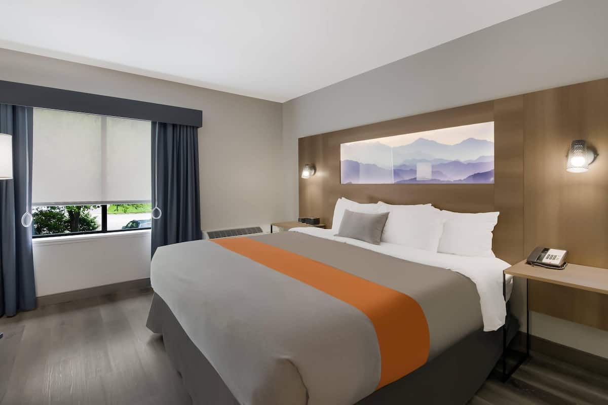 Desk, laptop workspace, free cots/infant beds, free WiFi